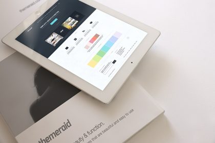 Portfolio Item 02